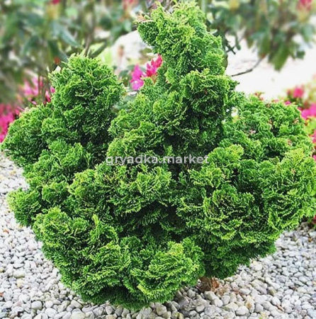 Скриншот 15-04-2026 144440