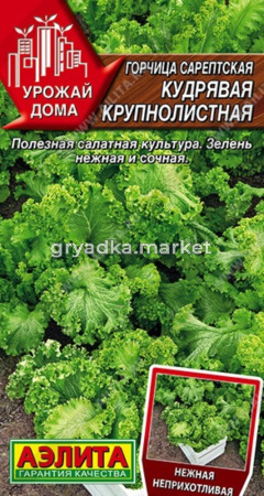Горчица Кудрявая крупнолистная сарептская 0,5 (Аэлита)