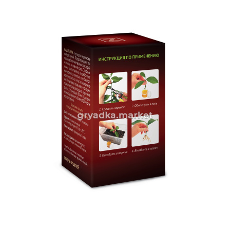 Радигрин-Пеларгония-основной-правый-ракурс-оборот-развернутый