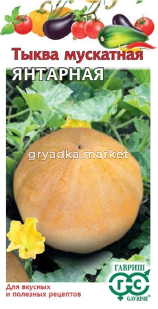 Тыква Янтарная мускатная 1г Ср (Гавриш)