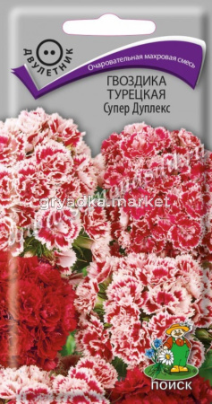 Гвоздика Турецкая Супер Дуплекс (ЦВ) (