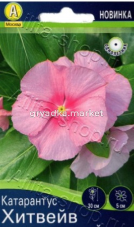 Катарантус Хитвейв пинк карликовый 5шт Одн 30см (Аэлита)