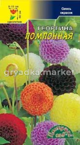 Георгина Помпонная смесь Цвет.сад.
