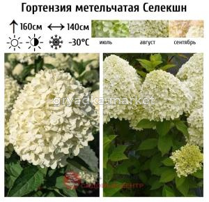 Скриншот 30-11-2023 103257