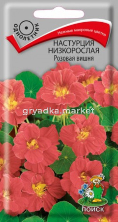 Настурция Розовая вишня низкоросл. 1г Поиск