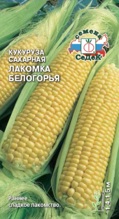 Кукуруза Лакомка Белогорья сахарная (Седек)