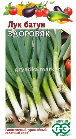 Лук батун Здоровяк Н22 1г Ранн (Гавриш)