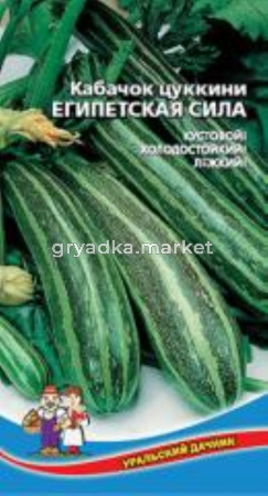 Кабачок Египетская Сила (цуккини) (УД) ЧСС