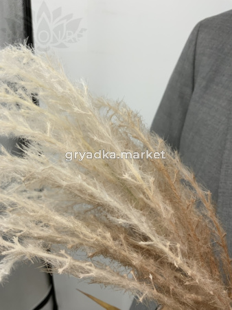 Искусственные цветы Тросник коричневый h110см