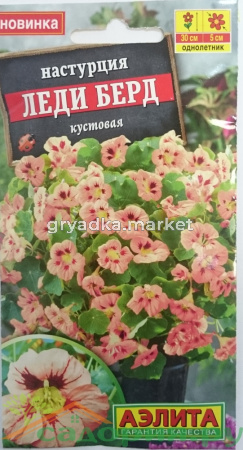 Настурция Леди Берд Аэлита