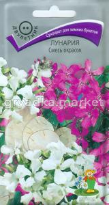 Лунария Смесь окрасок 0,2г -сухоцвет для зим.букетов- Поиск
