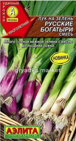 Лук на зелень Русские богатыри 1г смесь Ранн (Аэлита)