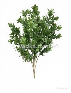 diting_result_eec82457a9d611f19e7226b1e90a609c_1