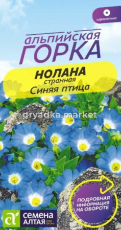 Нолана странная Синяя птица 0,3г Одн 10см (Сем Алт) Альпийская горка
