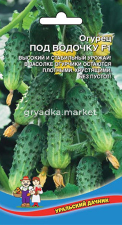 Огурец под Водочку (УД) ЧСС