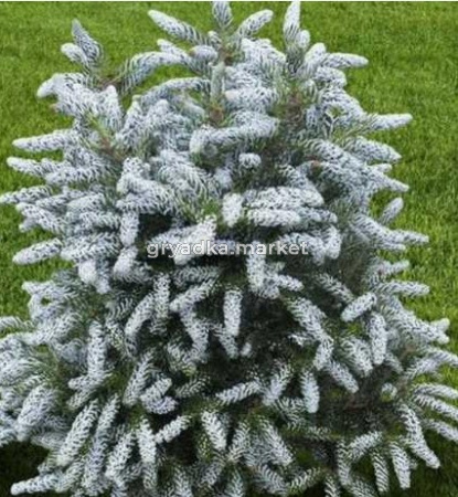 Скриншот 21-04-2026 112901