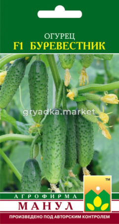 Огурец Буревестник F1,Парт.пучк.корниш. Манул