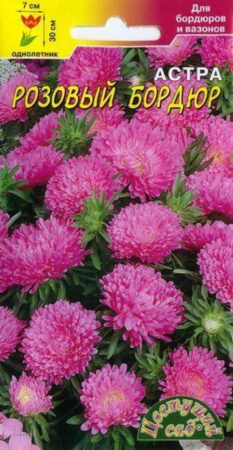 Астра Бордюр Розовый 0,3г. Цвет.сад.