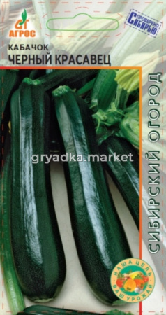 Кабачок Черный красавец 6шт -ранн- (Агрос) Германия
