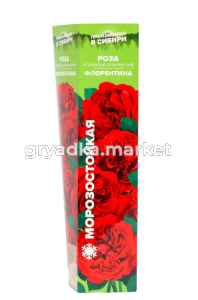 Скриншот 27-03-2025 154043-Photoroom