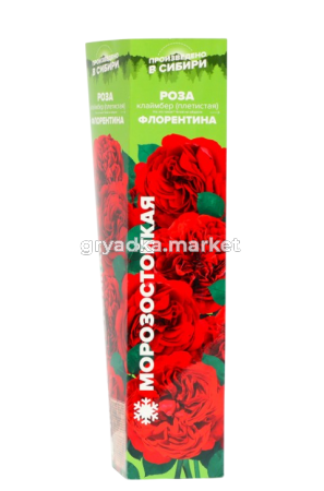 Скриншот 27-03-2025 154043-Photoroom