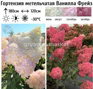 Скриншот 16-04-2026 101108