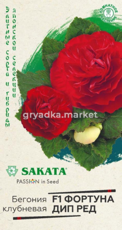 Бегония Фортуна Дип ред F1 гранул. 4 шт. пробирка Н17 Гавриш