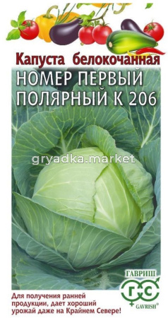 Капуста б-к Номер первый полярный К 206  0,5г Ранн (Гавриш)