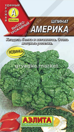 Шпинат Америка (Аэлита)