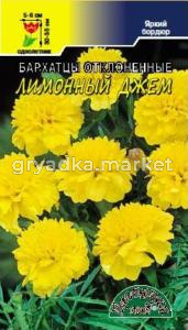 Бархатцы (Тагетес) Лимонный Джем 0.1г (Цвет сад)