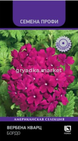 Вербена Кварц Бордо 10шт Одн 25см (Поиск) Семена Профи