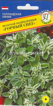 Молочай Горный снег 20шт Престиж