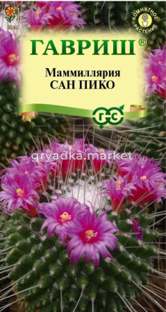 Маммиллярия Толука (Кактус) Сан пико 2шт Комн 30см (Гавриш) Н23