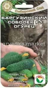 Огурец Баргузинский соболек F1 7шт (Сиб сад)