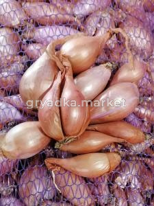 Лук-шалот Семейка ~ 19кг