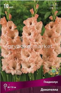 Скриншот 12-02-2025 154722