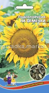 Подсолнечник на Семечки (УД) (огромная шляпа,крупные семечки)