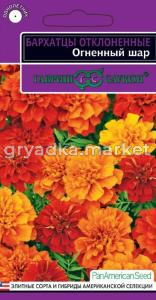 Бархатцы откл. Огненный шар (Тагетес) хамелеон! 5 шт.серия Эксклюзив Н18  Гавриш