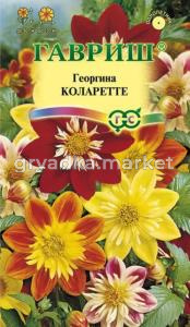 Георгина Коларетте 0,2г Гавриш
