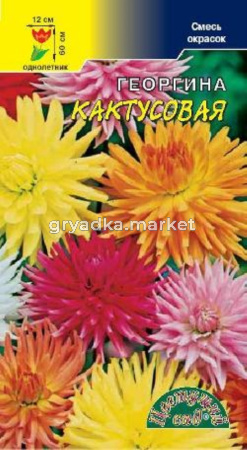 Георгина Кактусовая  смесь 0,1гр.Цветущий сад