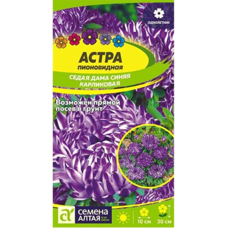 Астра Седая Дама Синяя карликовая 0.1г (Сем Алт)