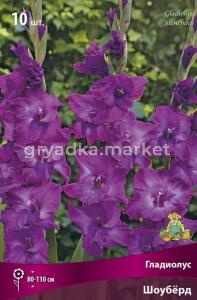 Гладиолус крупноцветковый Шоуберд 10шт (ярко-сиреневый, 10-12)