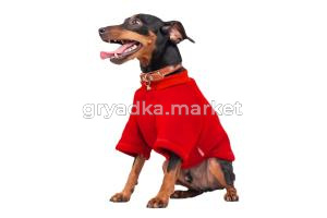 Толстовка р-р L спинка 28-30 об.гр.46-50 красный-Трезор