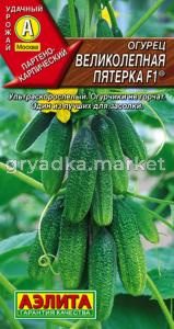 Огурец Великолепная пятерка F1 ® 10шт Парт Ранн (Аэлита)
