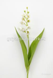 diting_result_1ef21b93a9de11f18d95a69ee4cb7e7d_1