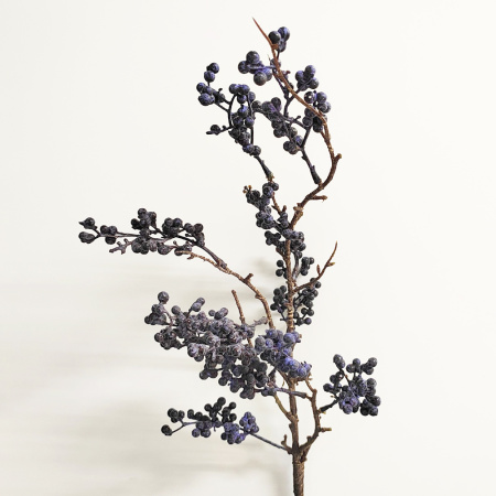 00000182674.1 00000182674.1