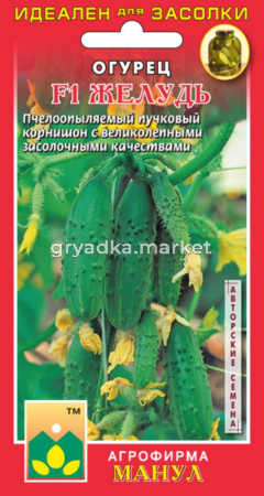 Огурец Желудь F1-ПЧ,выс.засол.качества Манул