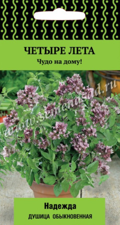 Душица обыкновенная Надежда 20шт (Поиск) Четыре лета