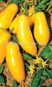 Томат Длинный чулок (Симбиоз) (УД)