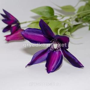 цветок иск.клематис